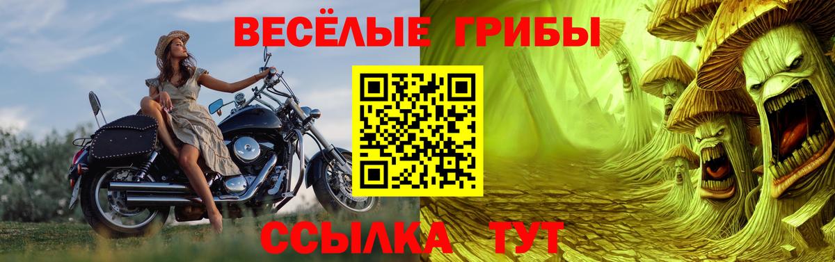Галлюциногенные грибы прущие грибы  Вход с VPN  Луховицы 