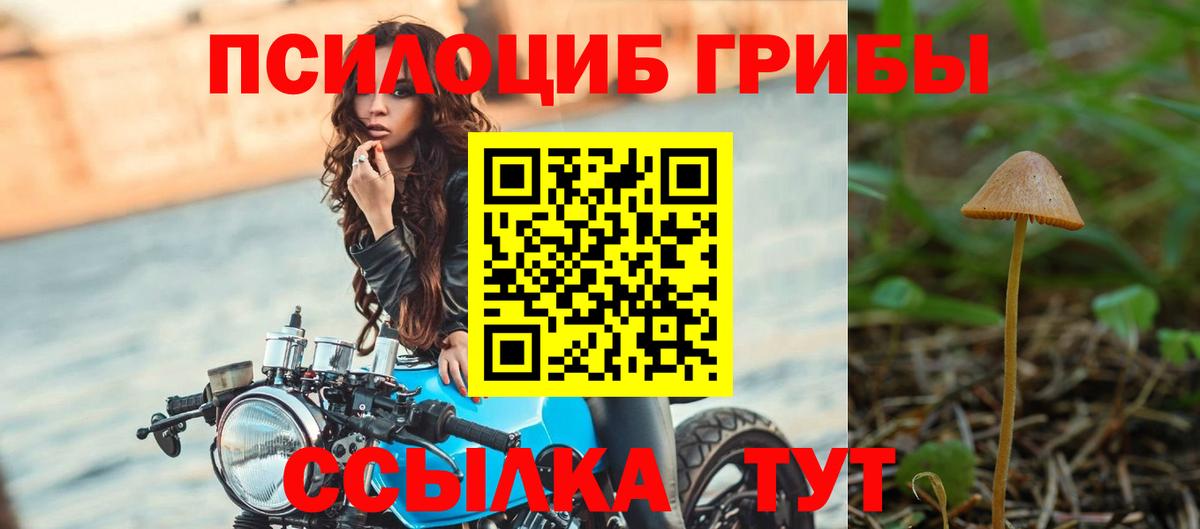 Псилоцибиновые грибы GOLDEN TEACHER Луховицы